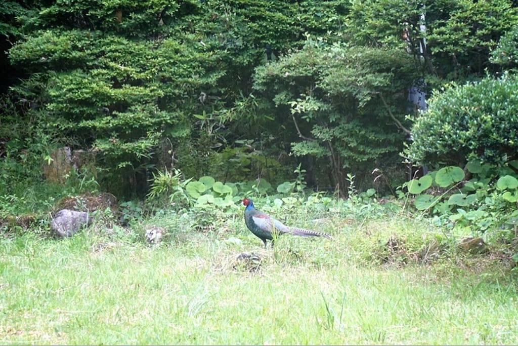 فيلا Ek House Hakone Josuiso 箱根如水荘 المظهر الخارجي الصورة